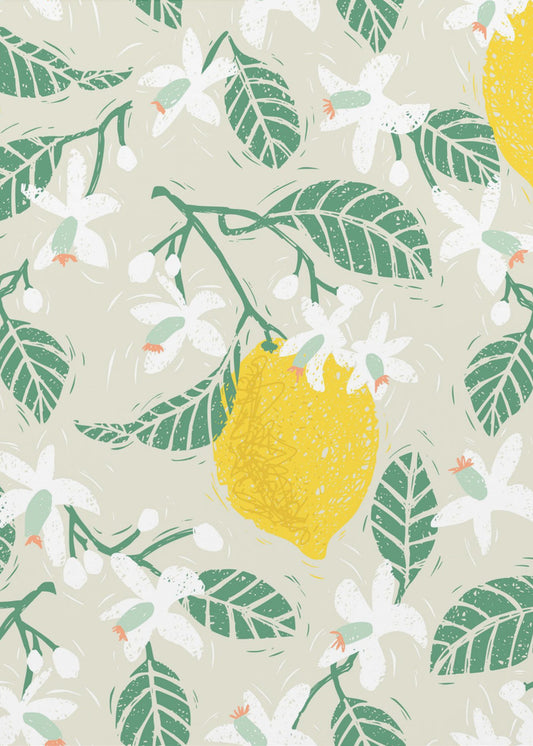 Lemon tree blossoms | Poster
