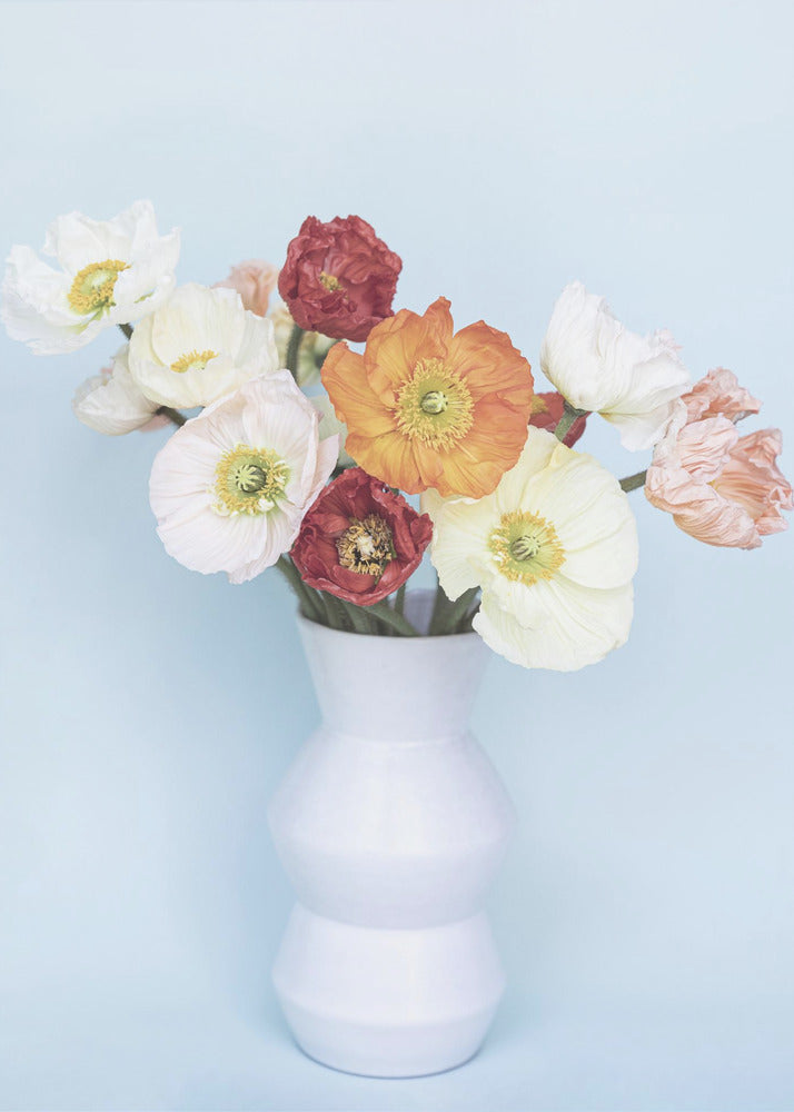 Mohnblumen in einer Vase | Poster