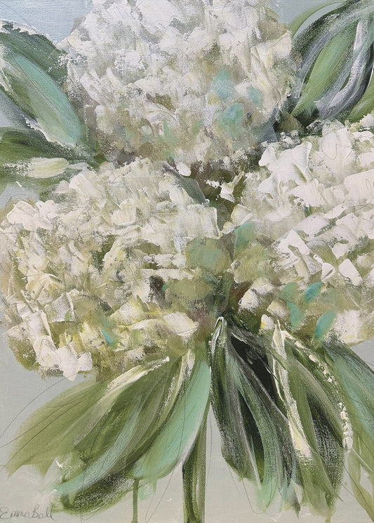 White Hydrangeas with Lush Green Leaves | Canvas