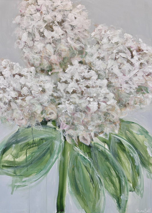 White Hydrangea Bloom | Canvas