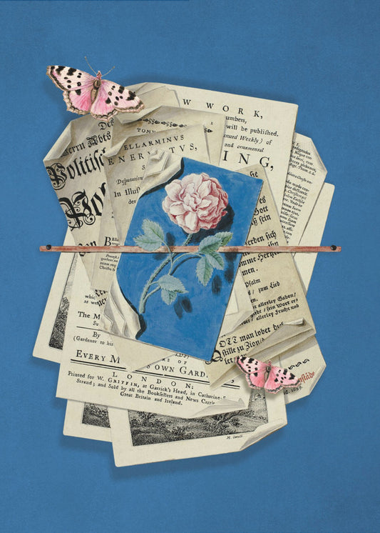 Rosa Rose umgeben von Vintage-Papier | Poster