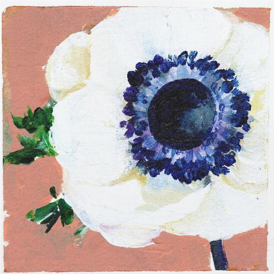 Anemone | Poster