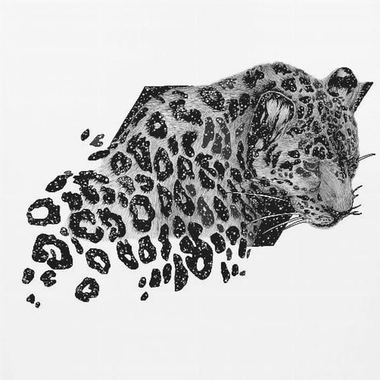 Cosmic Leopard Mural Copy | Canvas