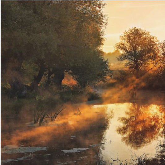 When nature paints with light I | Poster