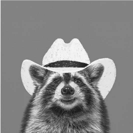 Wyatt The Cowboy Raccoon | Poster
