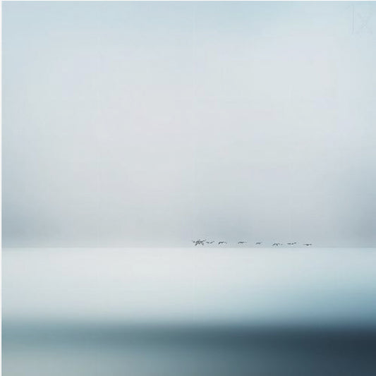 wild geese | Canvas